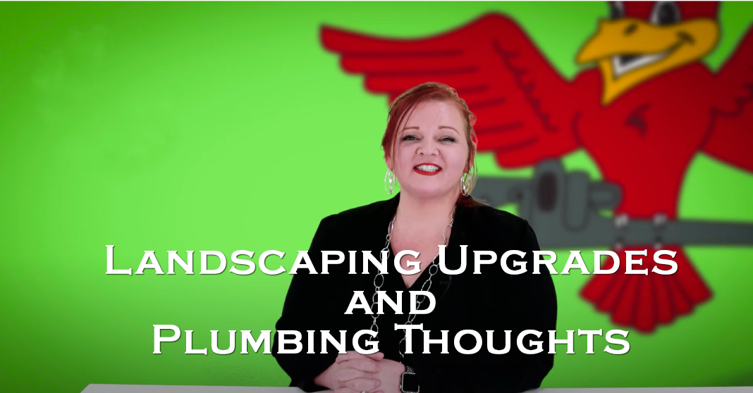 Owner of Robins Plumbing, Stephanie Robins featuring titled blog 'Landscaping Upgrades and Plumbing Thoughts'