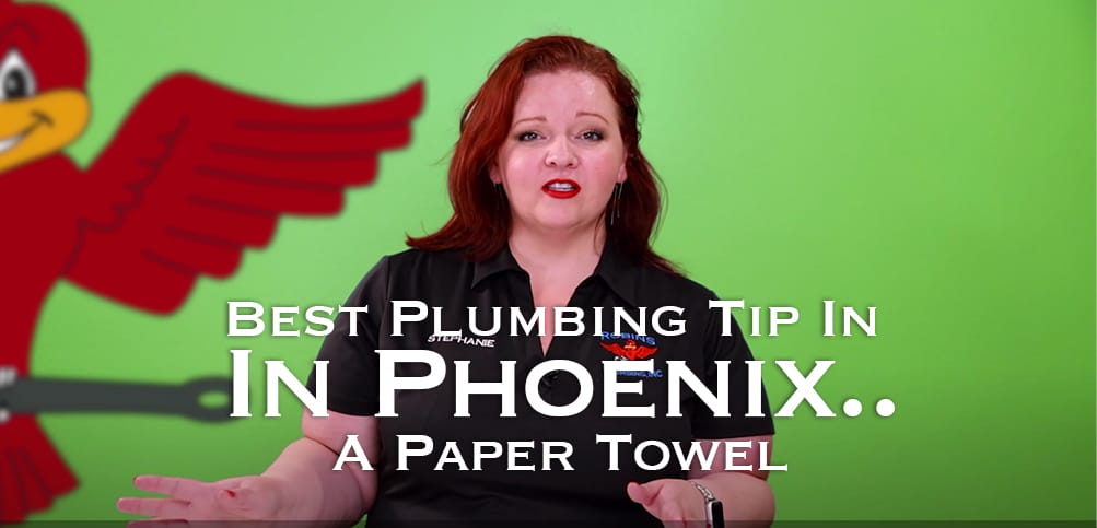 The thumbnail of Robins Plumbing blog titled "best plumbing tip in phoenix paper towel".