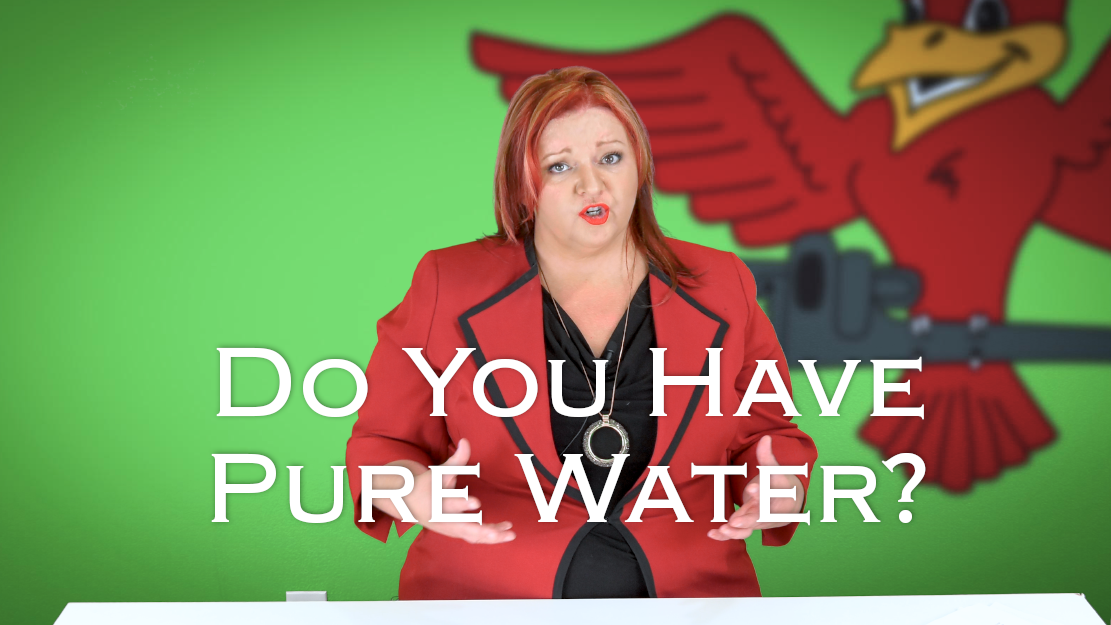 Robins Plumbing owner, Stephanie Robins featuring titled blog do you have pure water?