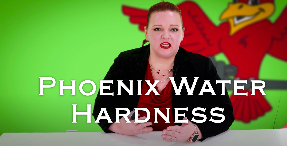 The owner of Robins Plumbing, Stephanie Robins with featured blog titled Phoenix water hardness