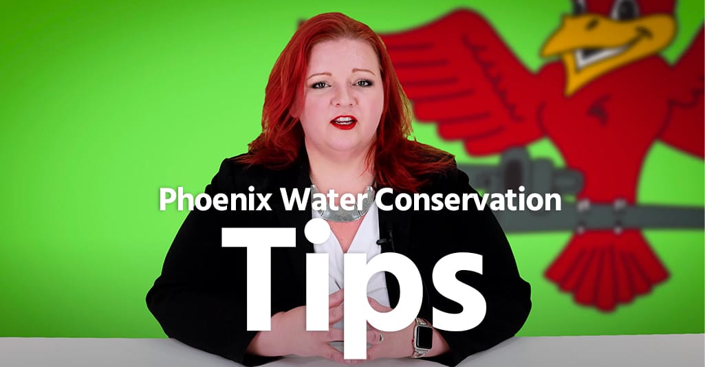 Phoenix-water-conservation-tips