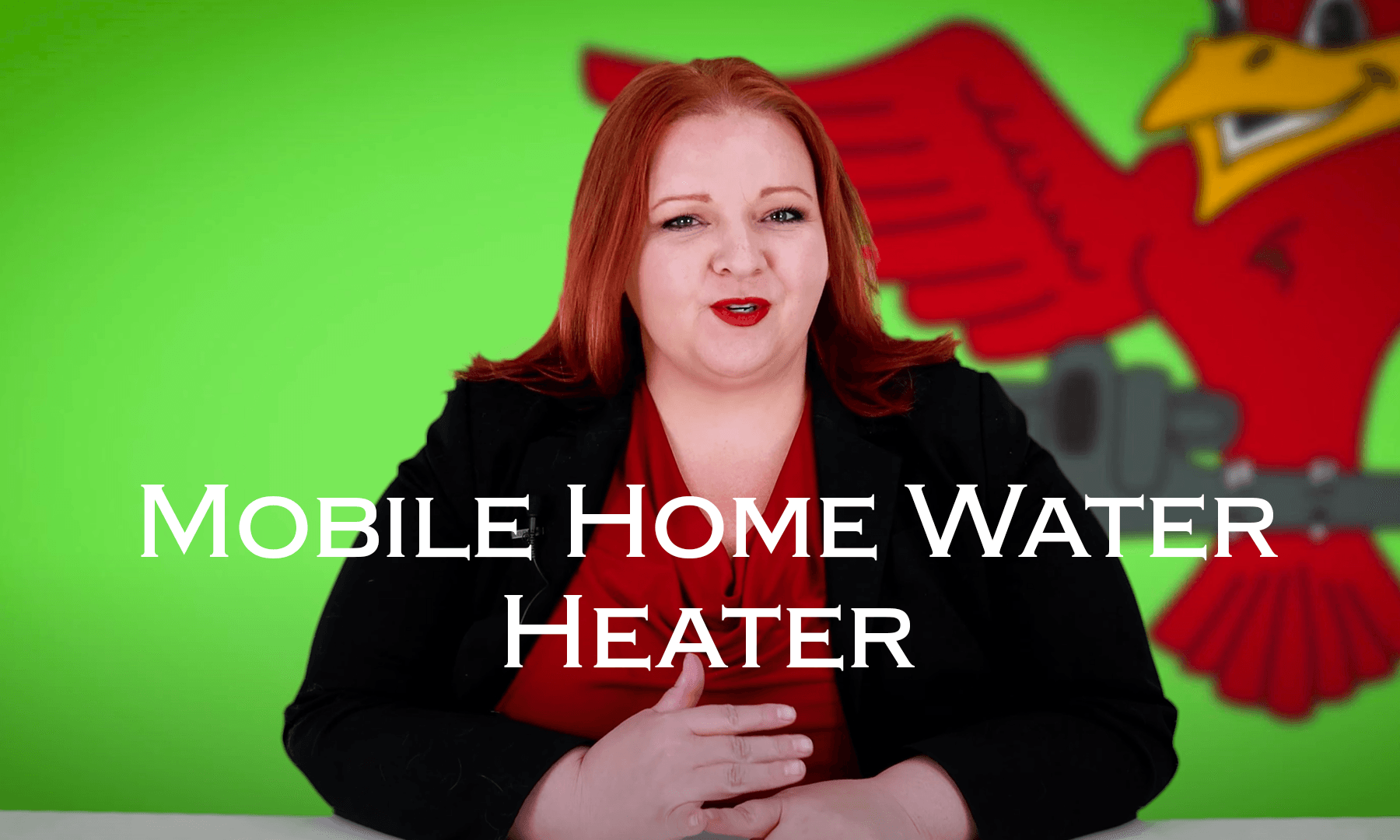 Featured image for Robins Plumbing blog titled "Mobile-Home-Water-Heater"