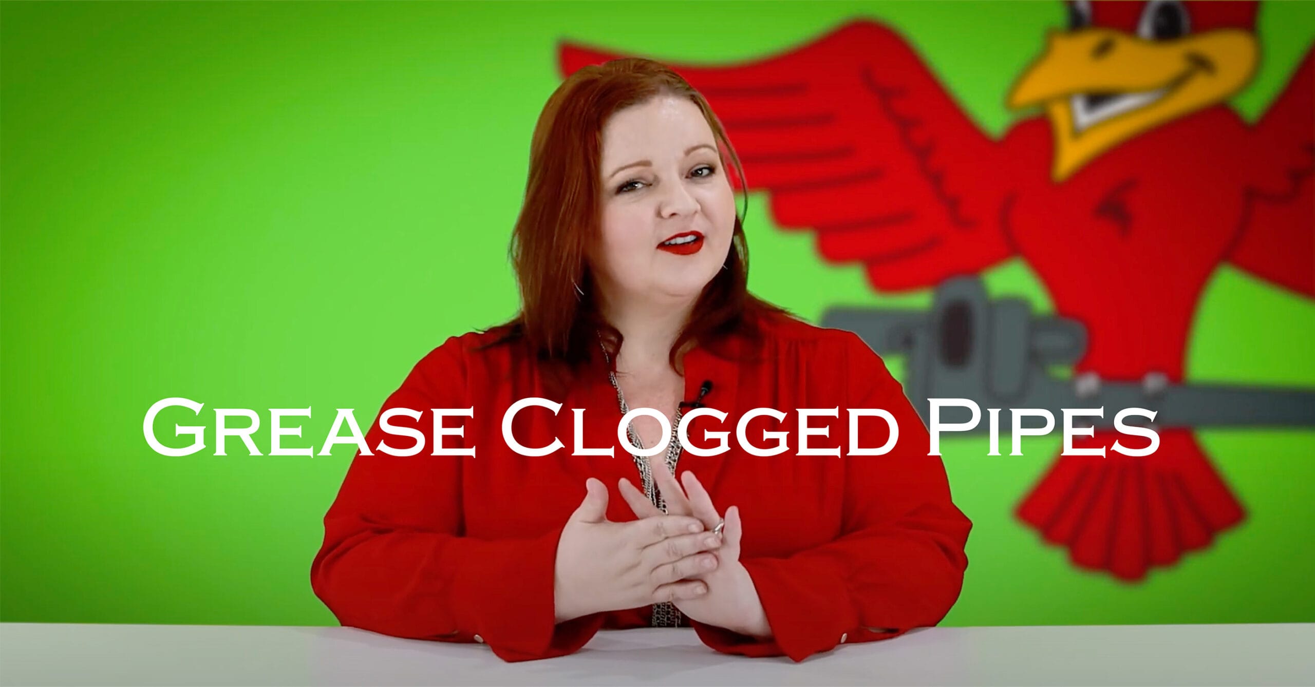 The owner of Robins Plumbing, Stephanie Robins blog titled grease clogged pipes