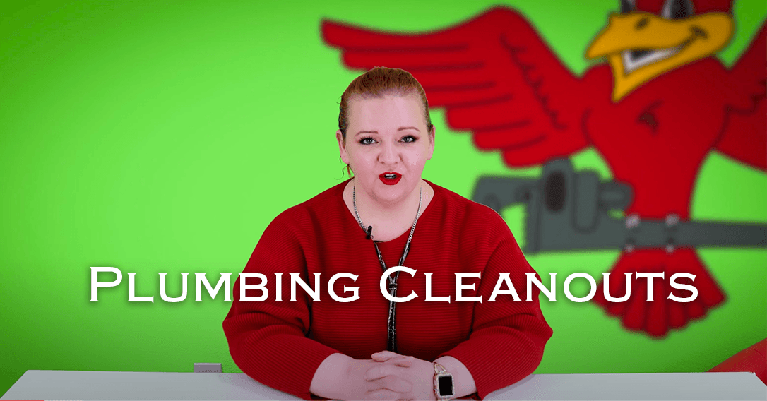 Owner of Robins Plumbing, Stephanie Robins and featured blog titled "plumbing cleanouts phoenix"