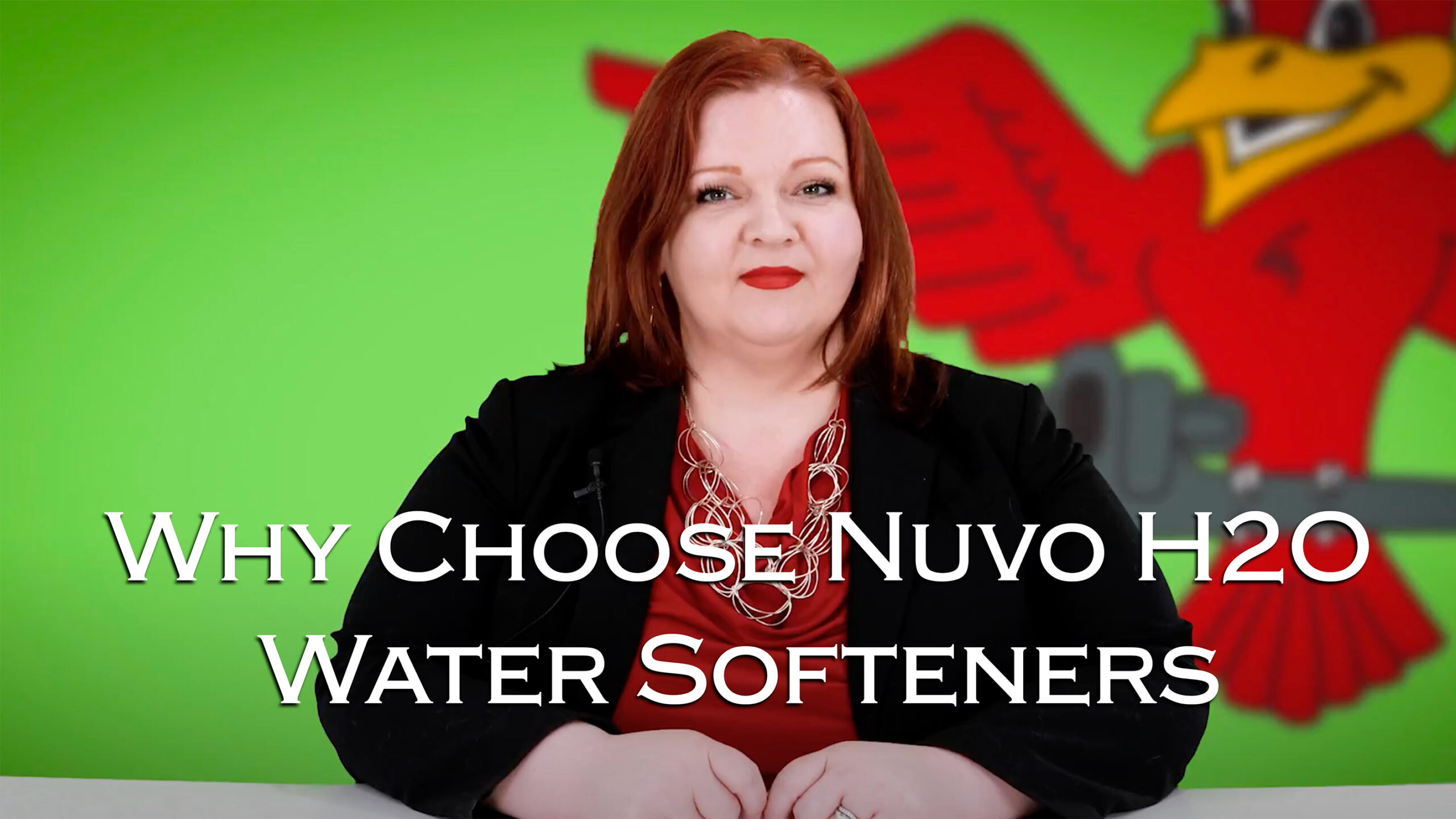 The featured image for Robins Plumbing blog titled 'why-choose-nuvo-h2O-water-softeners'