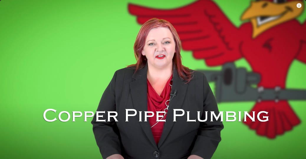 Stephanie Robins, the owner of Robins Plumbing with titled blog copper pipe plumbing.