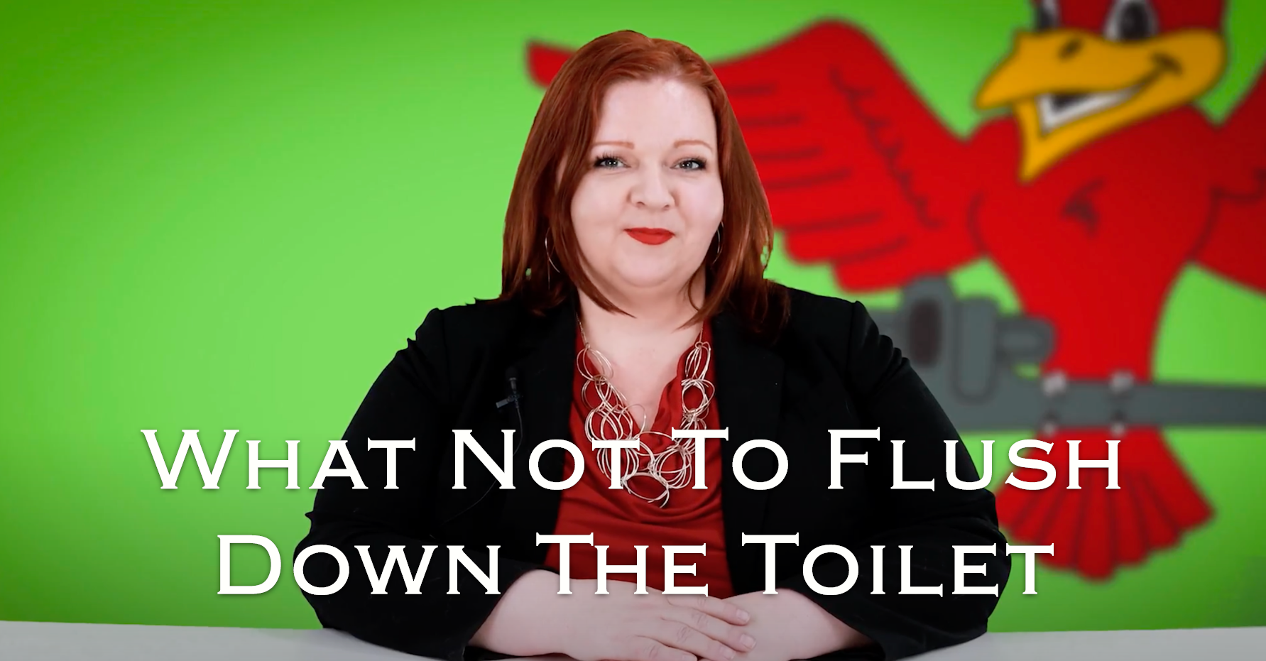Owner of Robins Plumbing, Stephanie Robins with featured blog titled 'what not to flush down the toilet'.