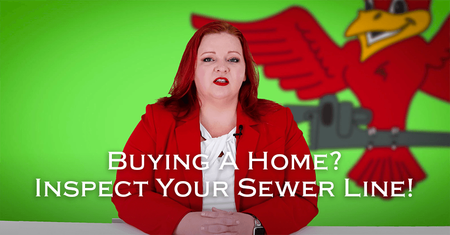 Owner of Robins Plumbing Stephanie Robins, with featured blog titled Buying A Home? Inspect Your Sewer!