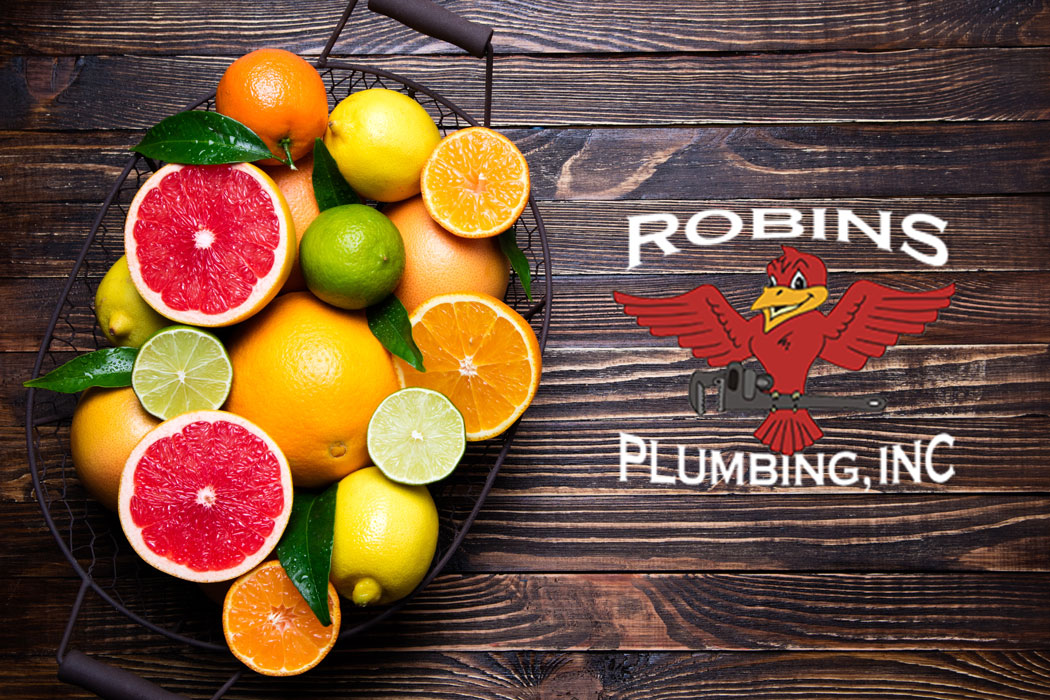 Photo of citrus on a table with Robins Plumbing logo for blog "Put Your Plumbing on a Citrus Diet"