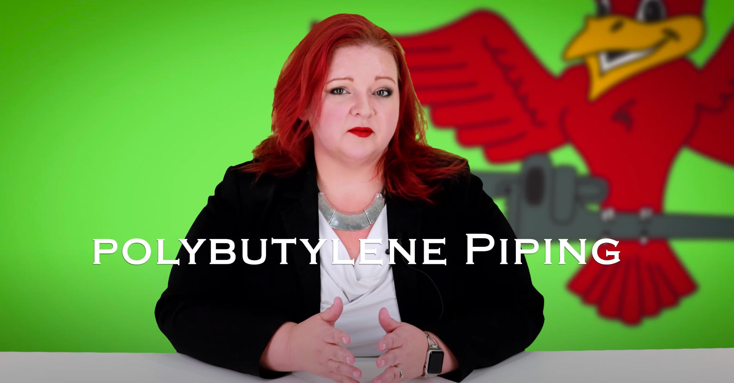 Robins Plumbing blog titled Polybutylene Piping by owner Stephanie Robins.