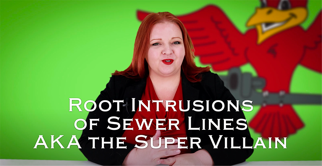 The owner of Robins Plumbing, Stephanie Robins with her featured blog titled 'Root Intrusions of Sewer Lines aka the super villain.