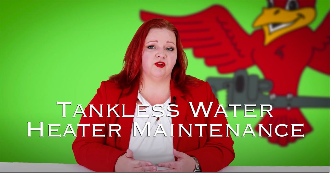 Stephanie Robins, the owner of Robins Plumbing with featured blog titled Tankless water heater maintenance.