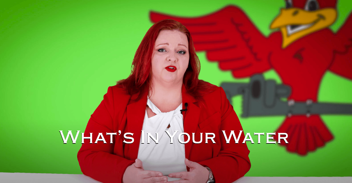 Robins Plumbing owner Stephanie Robins with featured blog titled What's in your water.