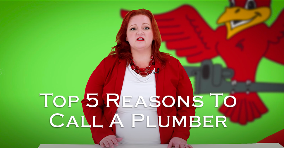 Owner of Robins Plumbing, Stephanie Robins featuring titled blog top-5-reasons-to-call-a-plumber