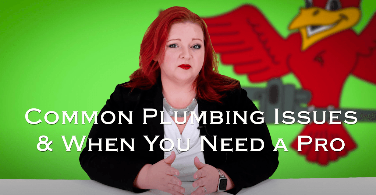 Stephanie Robins, owner of Robins Plumbing with featured blog titled 'Common plumbing issues when you need a pro'