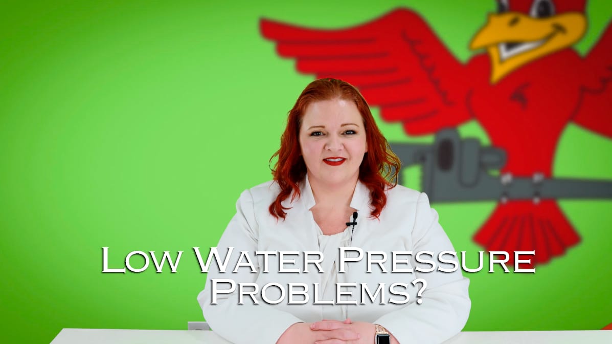 Stephanie Robins, the owner of Robins Plumbing featuring her blog titled low water pressure problems