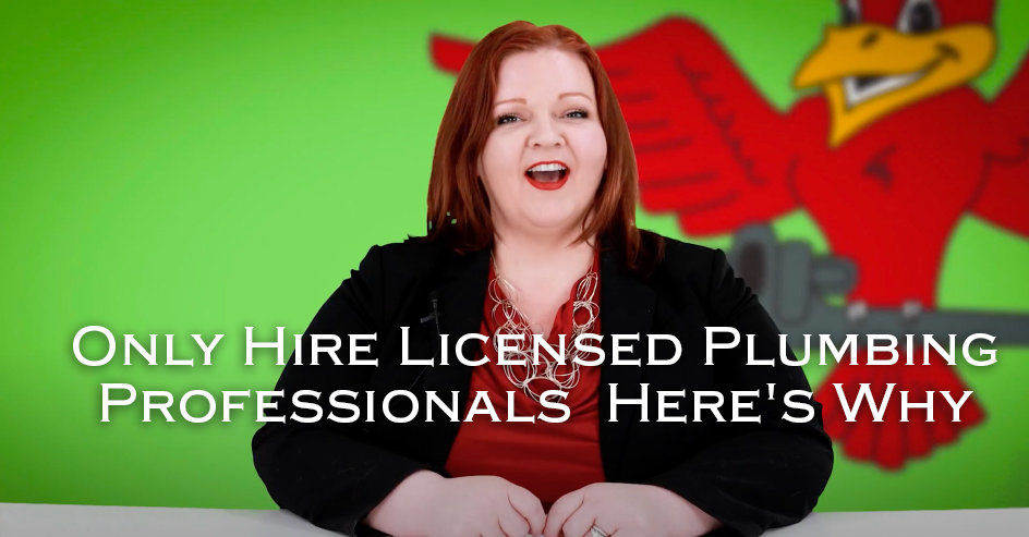 Stephanie Robins, owner of plumbing company Robins Plumbing with featured blog titled 'Only-Hire-Licensed-Plumbing-Professionals-Here's-Why'