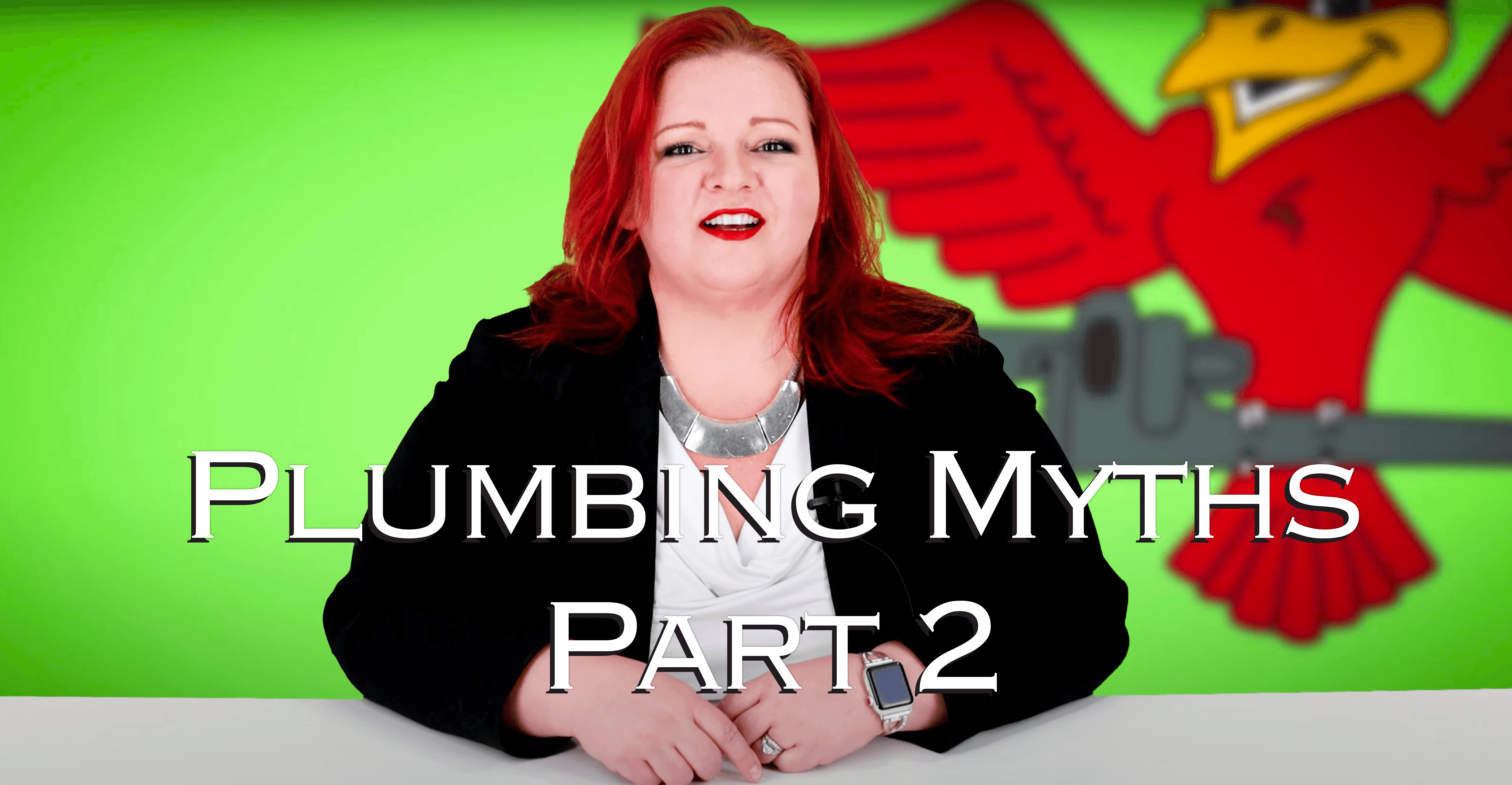 Featured image for the blog "plumbing-Myths-Part-2"