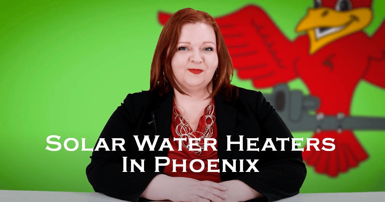 Stephanie Robins, owner of Robins Plumbing with featured blog titled Solar water heaters in phoenix robins plumbing