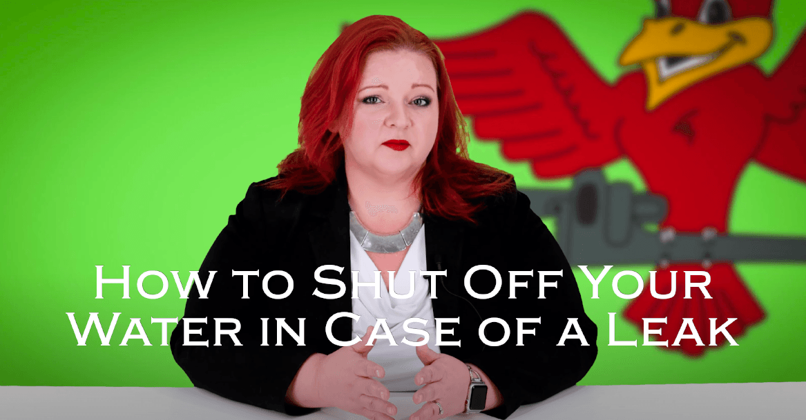 The owner of Robins Plumbing, Stephanie Robins featuring a blog titled how to shut off your water in case of a leak.