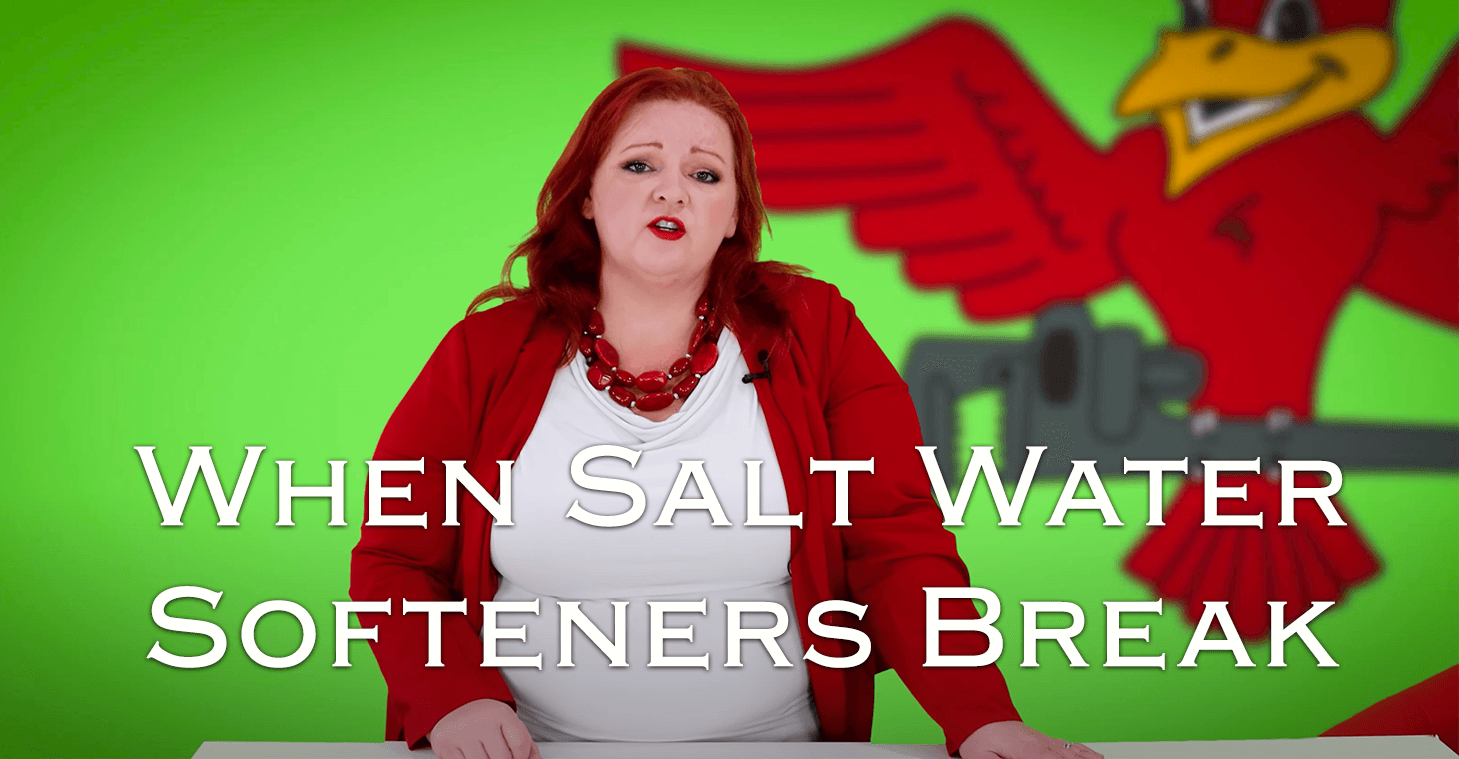 Stephanie Robins, owner of Robins Plumbing featuring titled blog 'When salt water softeners break'