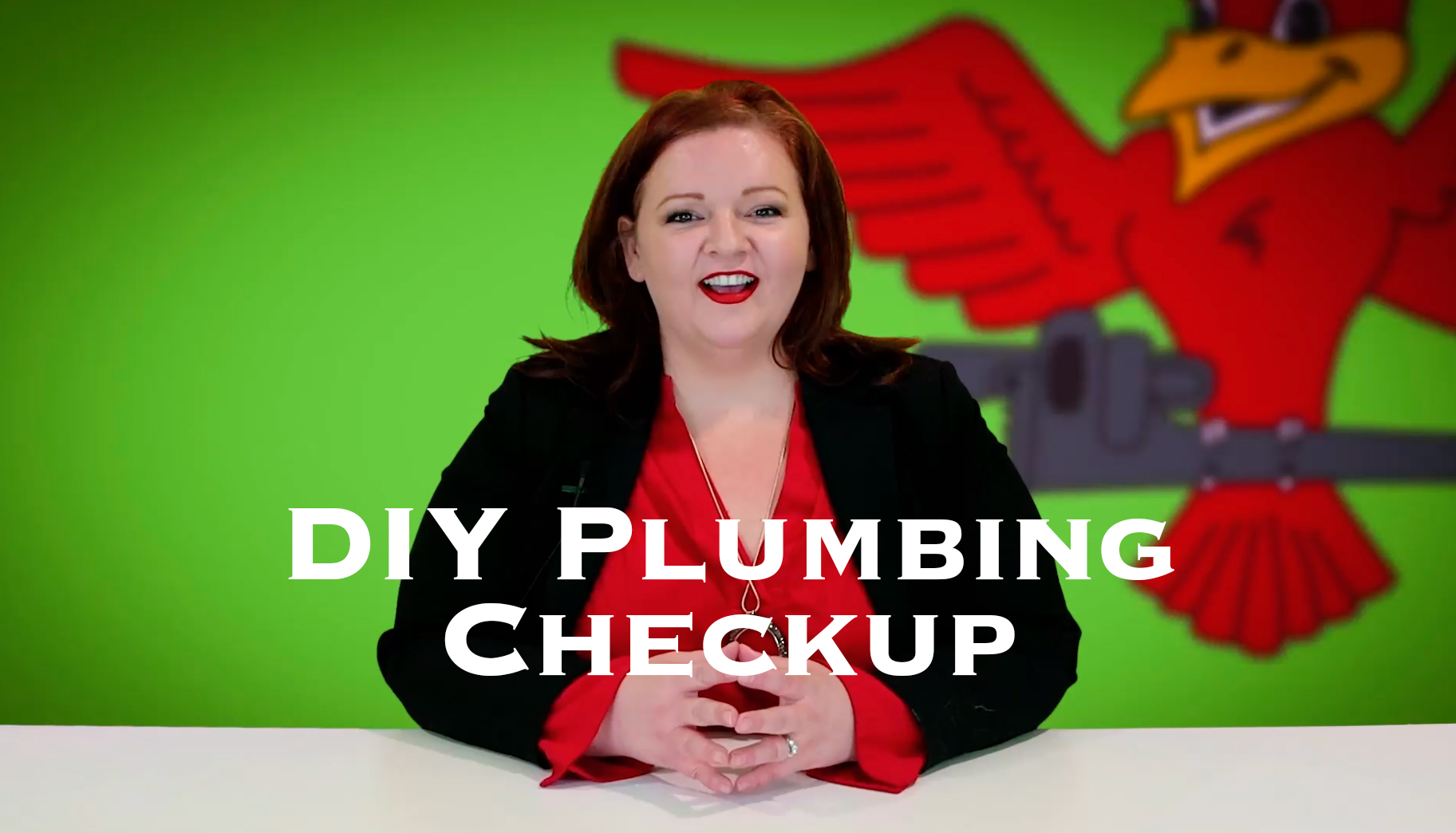 Cover photo for blog and video "DIY Plumbing Checkup"