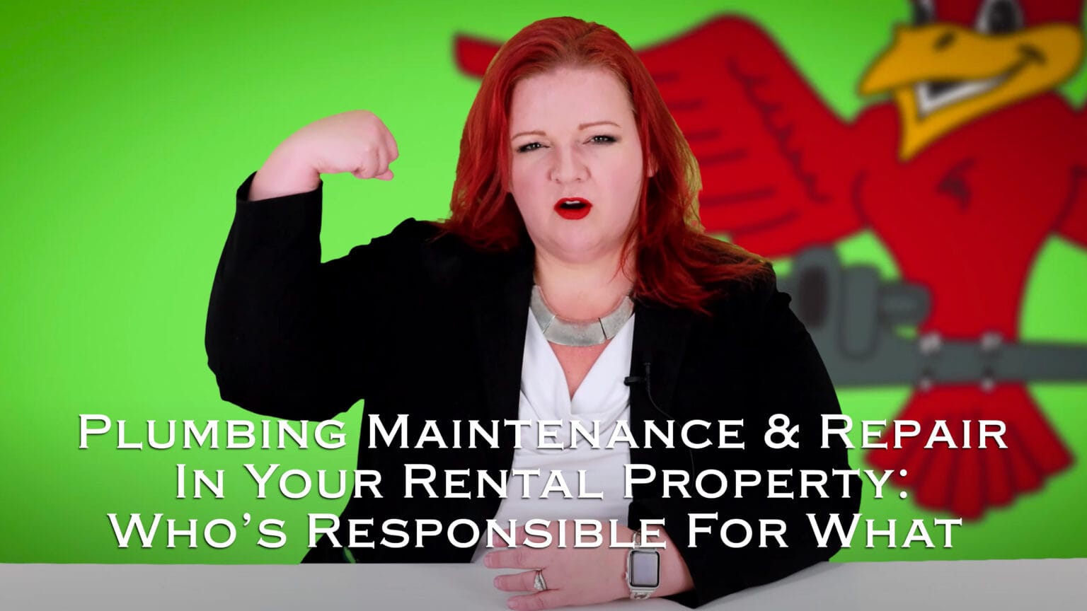 Plumbing Maintenance and Repair in Your Rental Property Who's