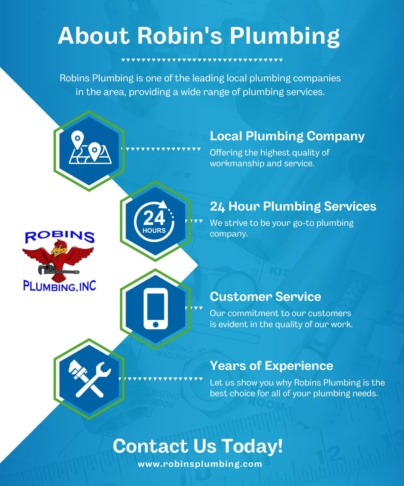 About Robins Plumbing Infographic