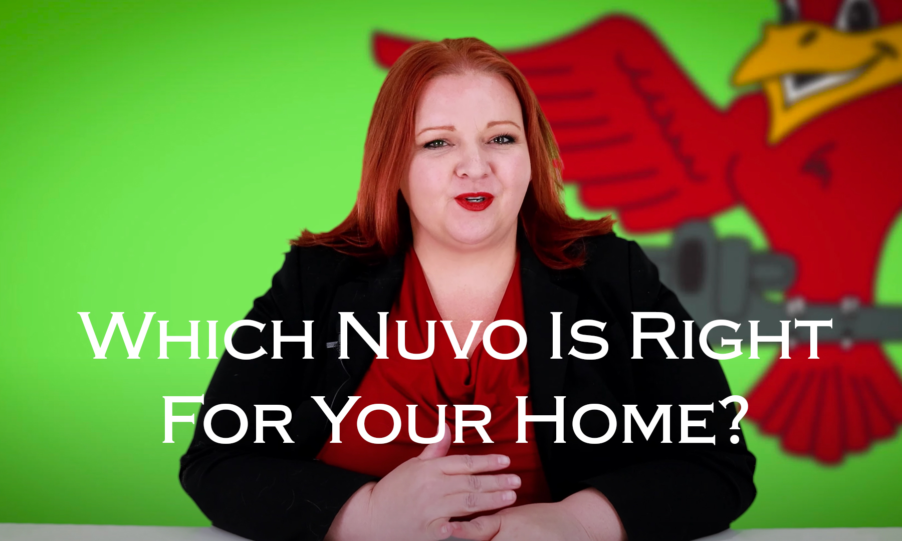 Featured image for Robins Plumbing blog titled Which-nuvo-is-right-for-your-home