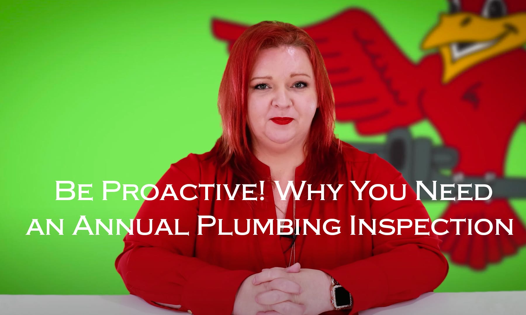 Image for robins plumbing blog titled "be-proactive-why-you-need-an-annual-plumbing-inspection"