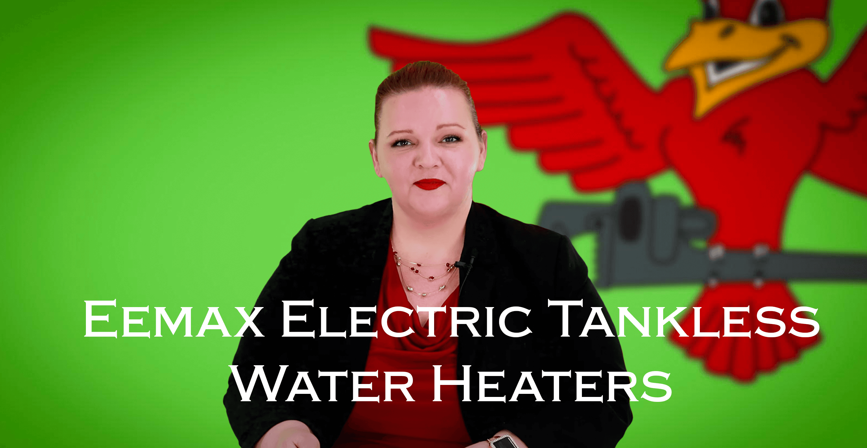 Robins Plumbing featured image for the blog Eemax-Electric-Tankless-Water-Heaters