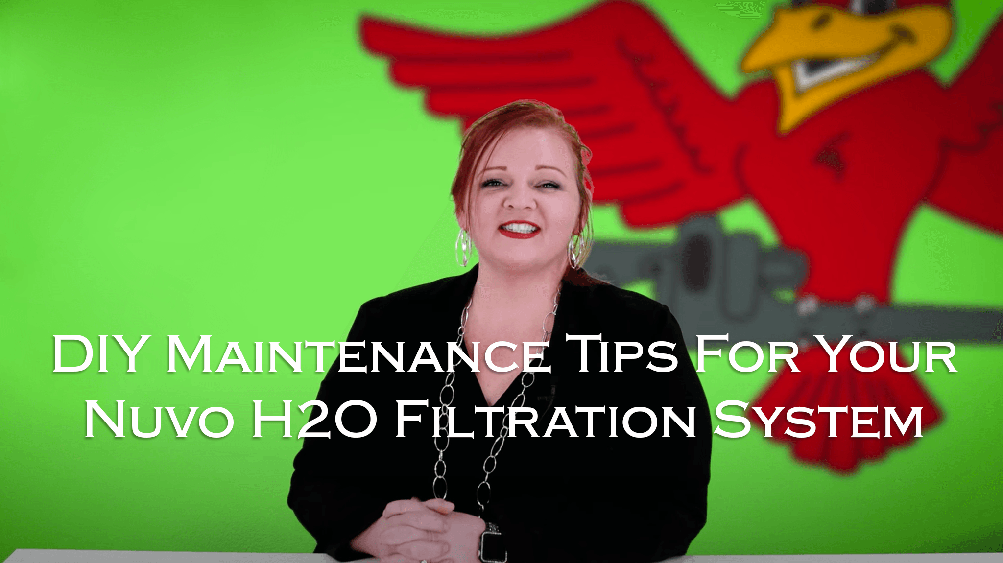DIY-maintenance-tips-for-your-nuvo-h2o-filtration-system