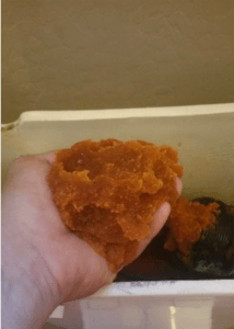Orange medium that looks like fish eggs inside of a plumbing system after the salt softener system has started to malfunction.