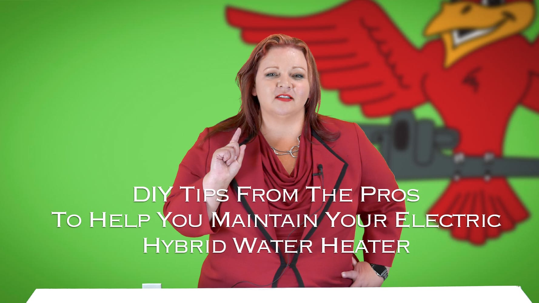 Stephanie Robins, the owner of Robins Plumbing with featured blog titled 'diy-tips-from-the pros to help you maintain your electric hybrid water heater'