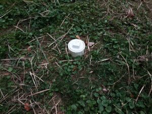 white plastic sewer cleanout pipe in yard or lawn with grass