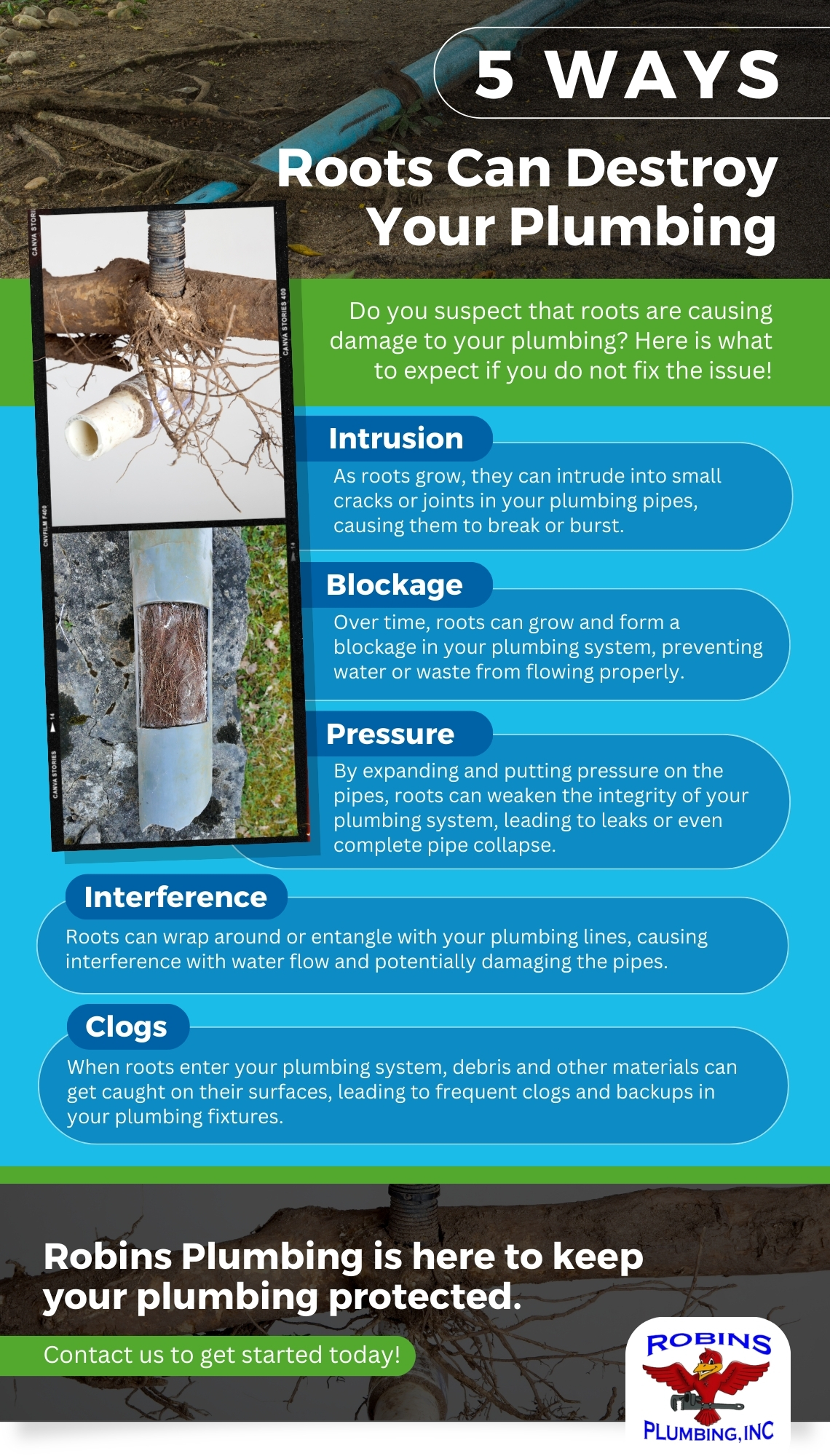 Five Ways Roots Can Destroy Your Plumbing Infographic