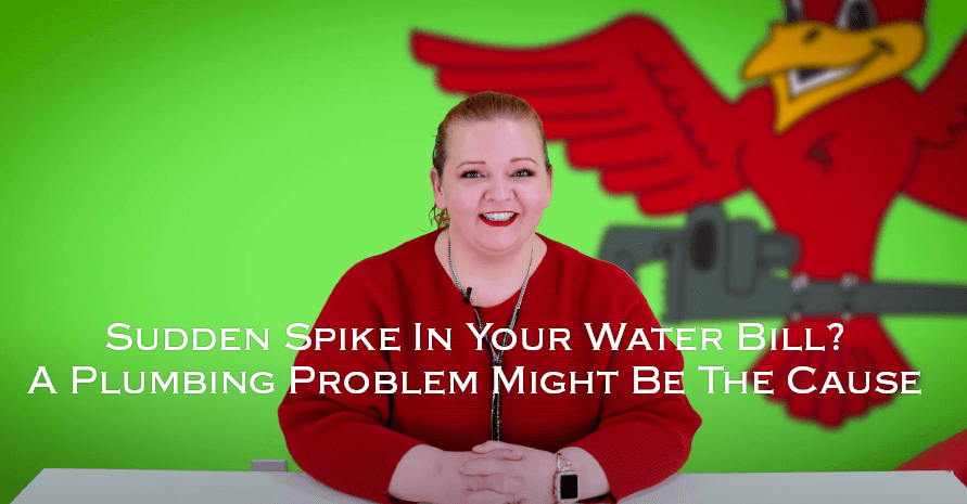 Owner of Robins Plumbing, Stephanie Robins with featured blog titled "Sudden-Spike-In-Your-Water-Bill-A-Plumbing-Problem-Might-Be-The-Problem"