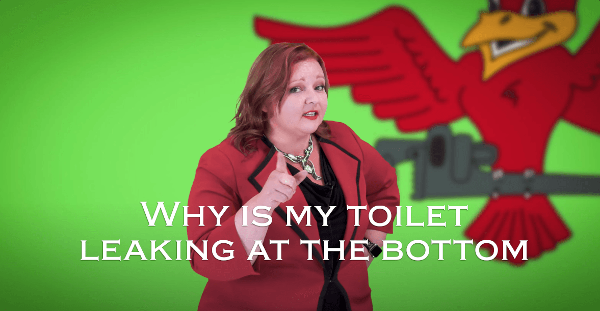 Why is my rest room leaking on the backside