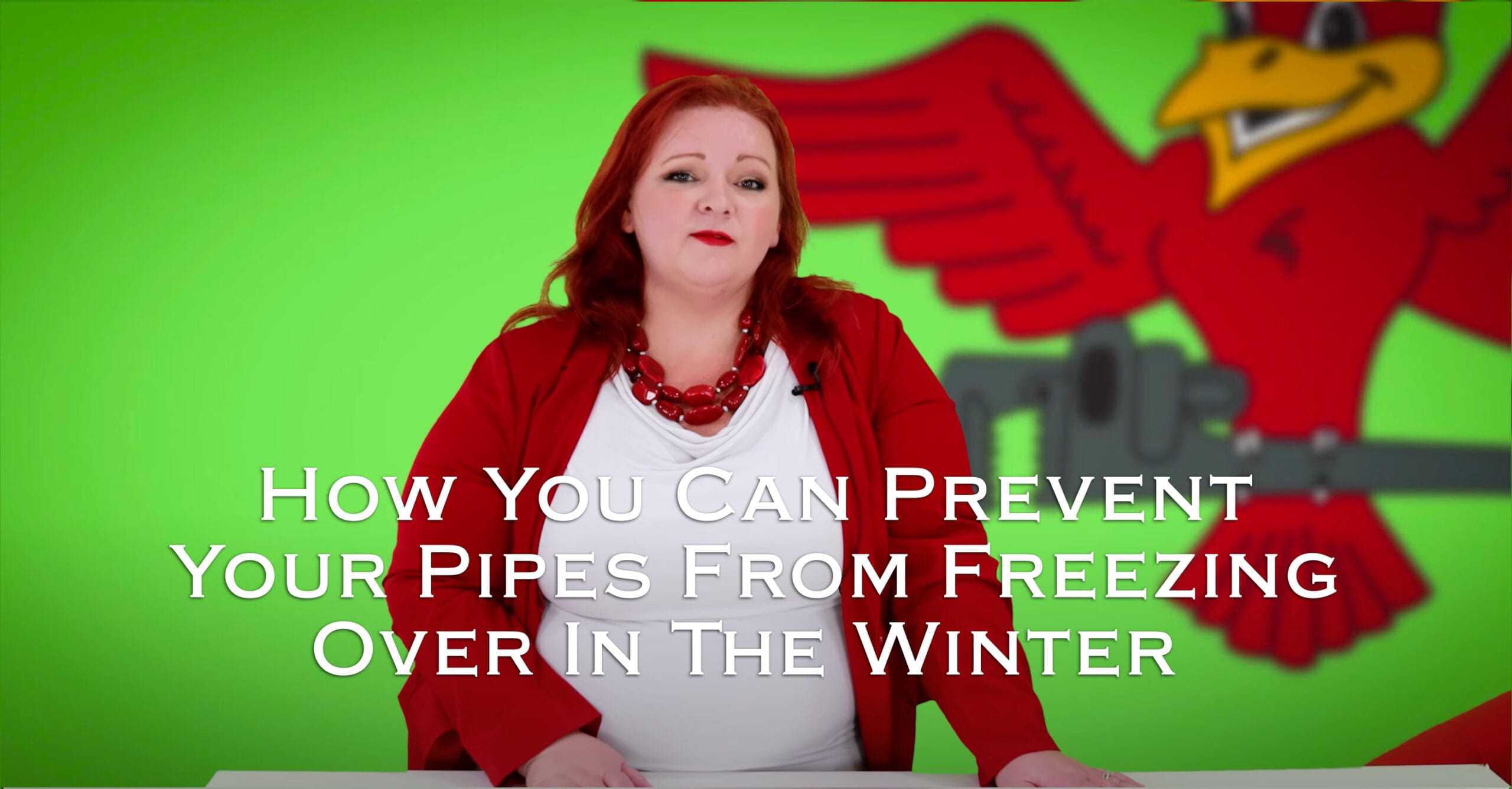 Owner of Robins Plumbing, Stephanie Robins with featured blog titled 'how you can prevent your pipes from freezing over in the winter'