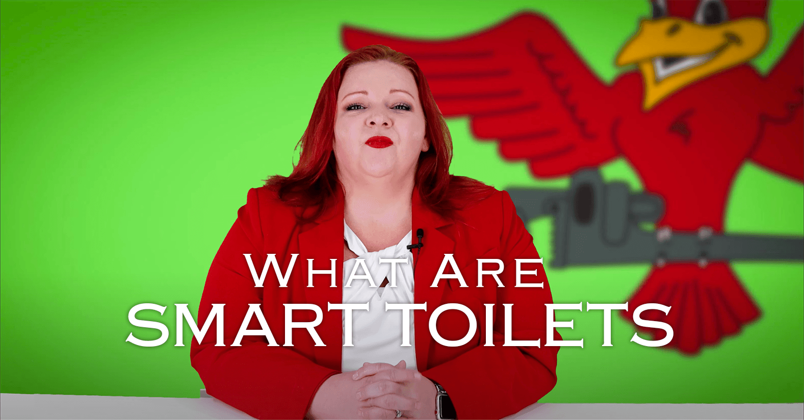 The thumbnail for Robins Plumbing blog titled what are smart toilets written by the owner Stephanie Robins