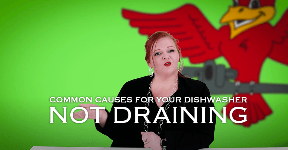 The thumbnail for Robins Plumbing blog written by the owner of Robins Plumbing, Stephanie Robins titled "common causes for your dishwasher not draining"