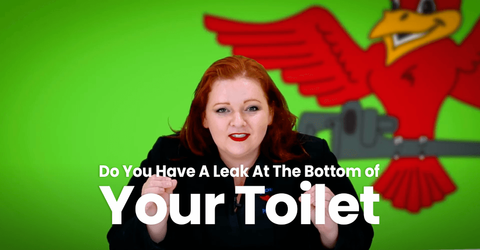 The thumbnail for Robins Plumbing blog titled do you have a leak at the bottom of your toilet.