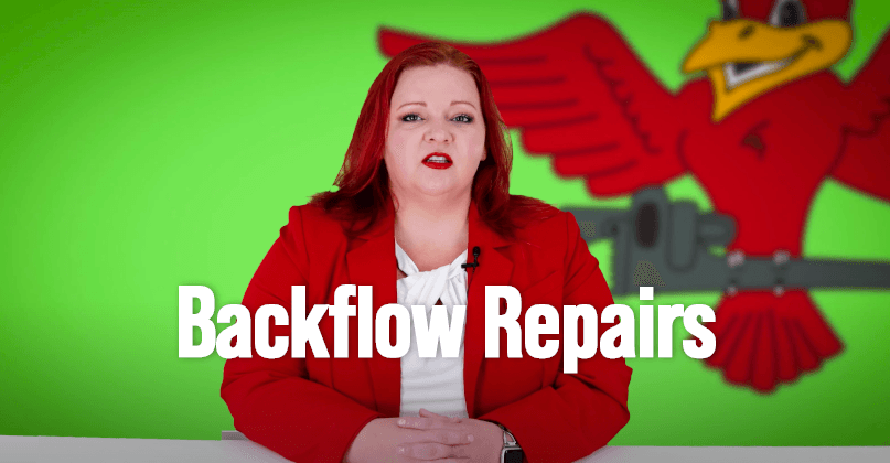 The thumbnail for Robins Plumbing blog titled backflow repairs written by Stephanie Robins.