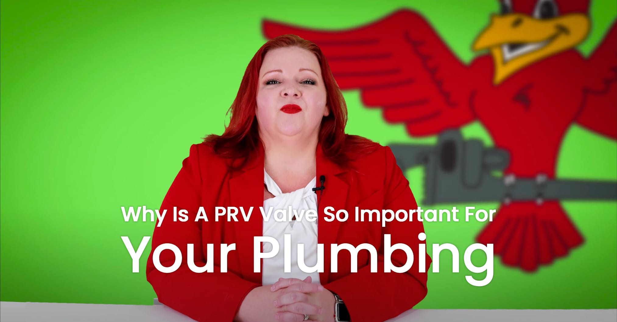 The thumbnail for the blog titled "why is a prv valve so important for your plumbing" written by Robins Plumbing owner, Stephanie Robins.