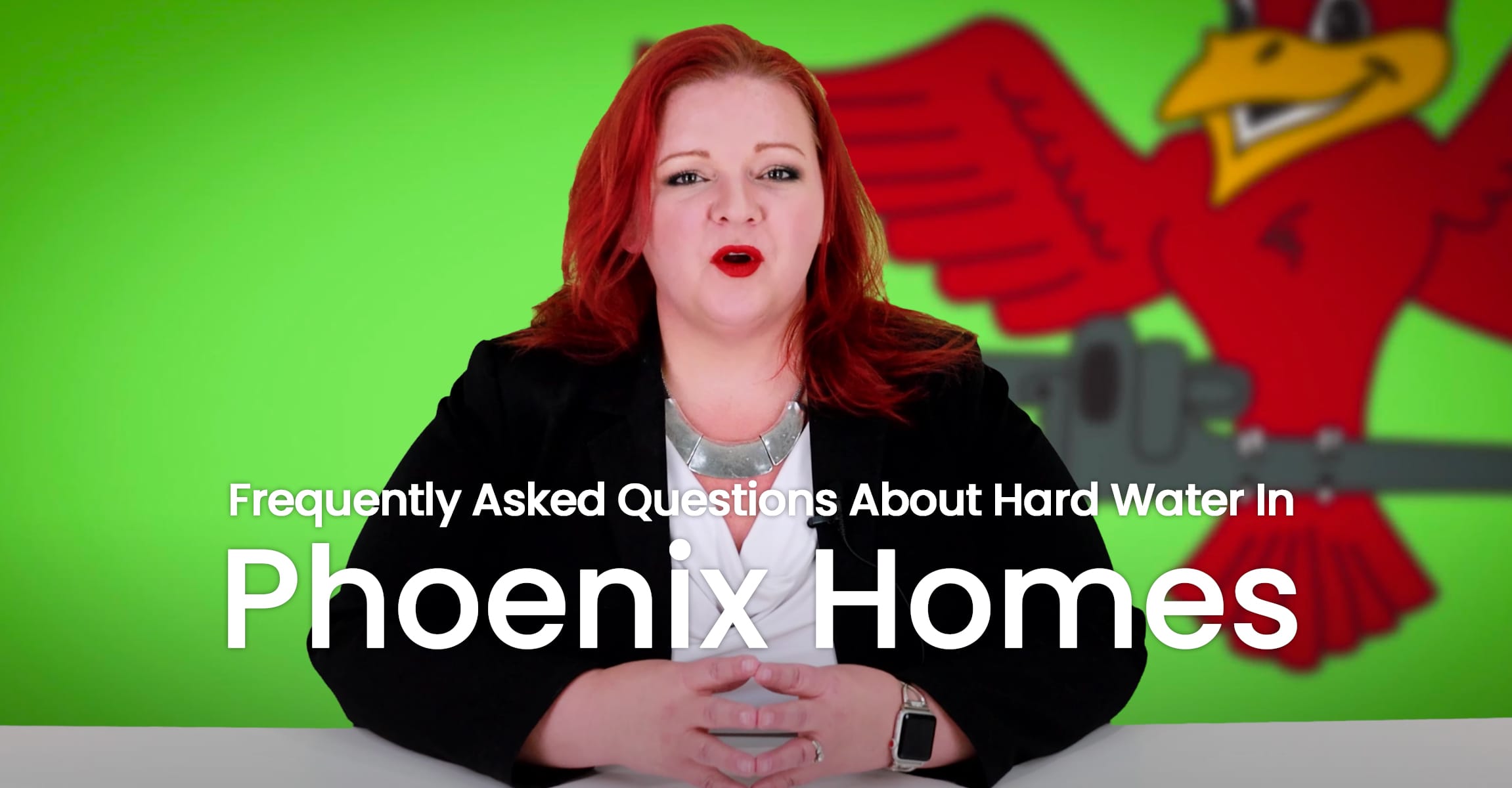 The thumbnail for the blog titled "hard water in Phoenix homes" written by Robins Plumbing owner, Stephanie Robins.