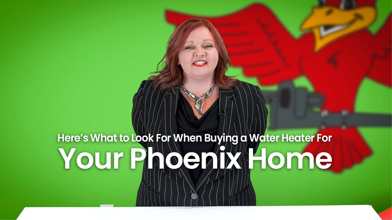 A thumbnail for the blog titled here's what to look for when buying a water heater for your phoenix home written by the owner Stephanie Robins