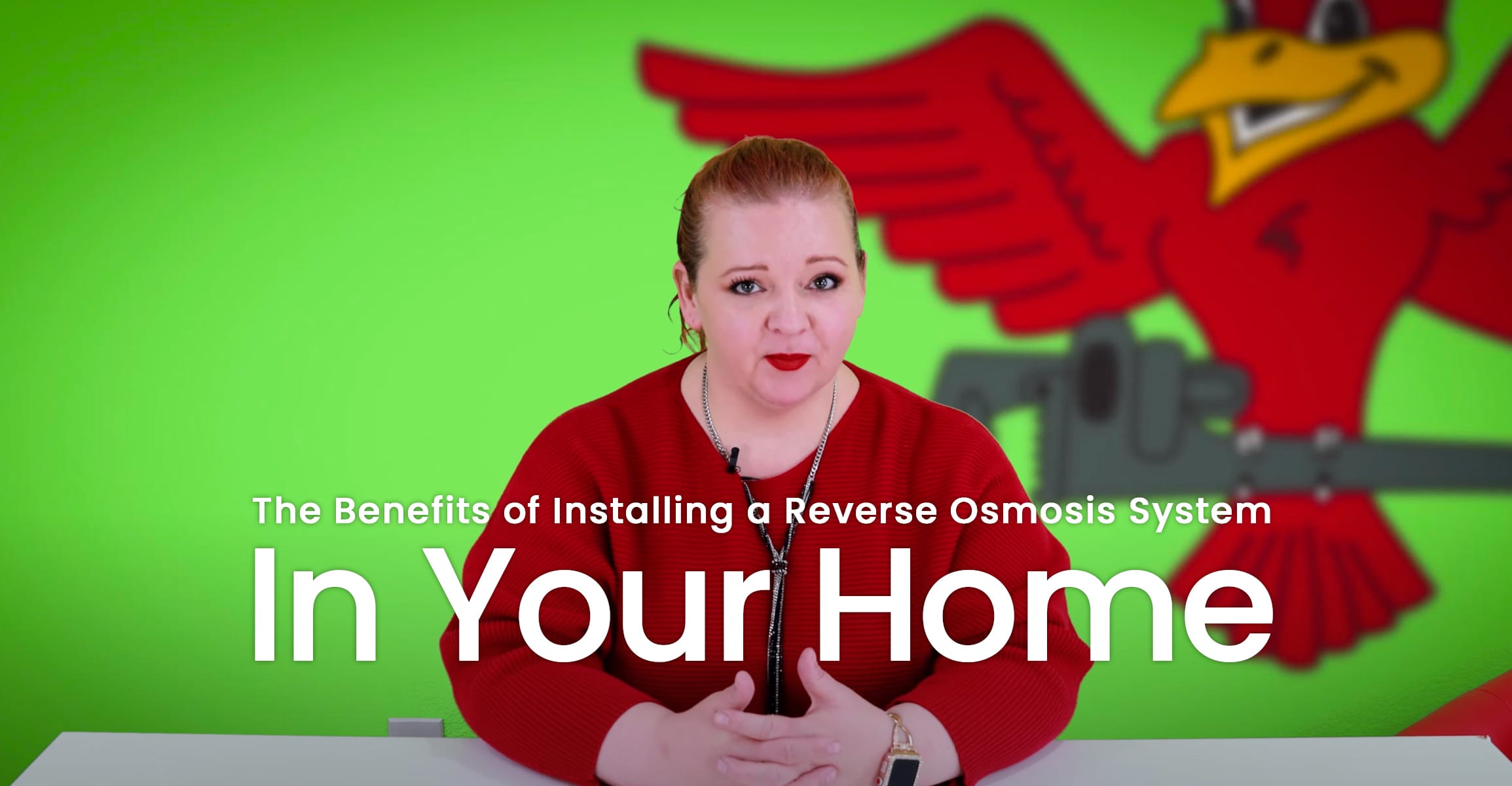 The thumbnail for the blog titled "the benefits of installing a reverse osmosis system in your home" written by Robins Plumbing owner, Stephanie Robins.