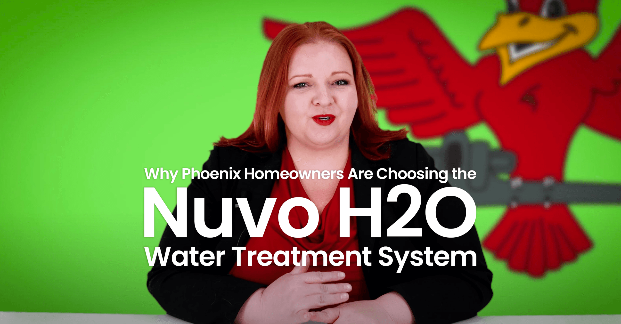 The thumbnail for Robins Plumbing blog titled "Nuvo H2O Water Treatment System" written by the owner of Robins Plumbing Stephanie Robins.