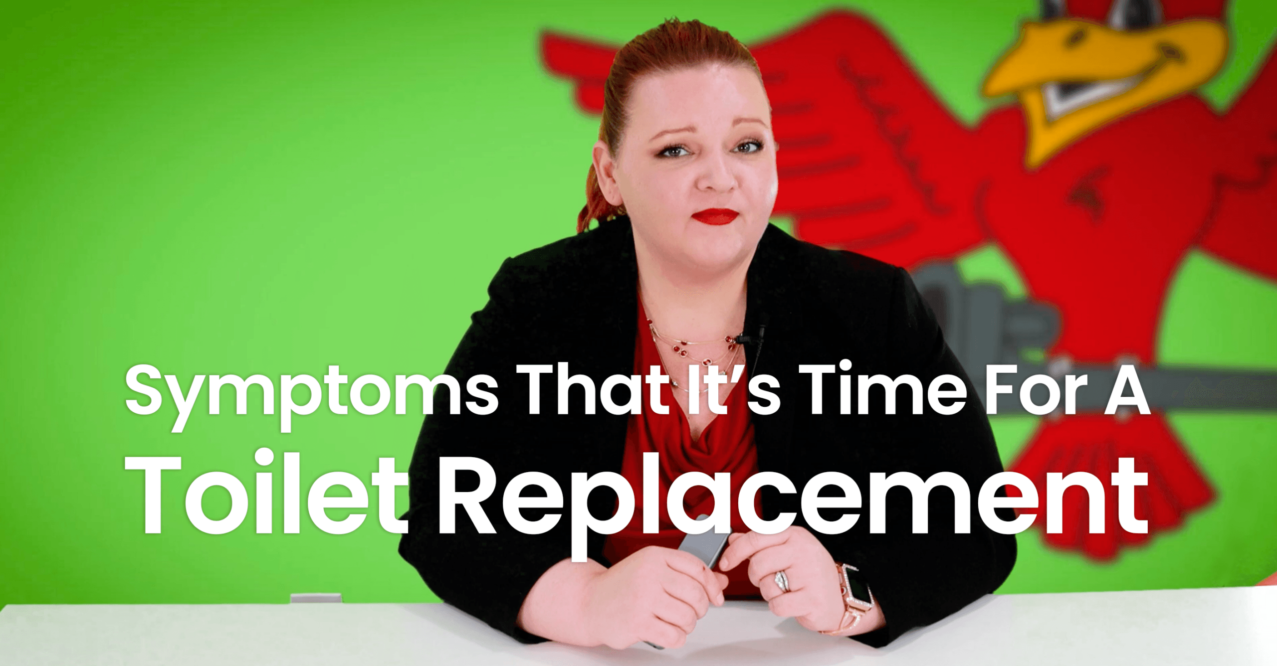 The thumbnail for Robins Plumbing blog titled "what is a skirted toilet" written by the owner of Robins Plumbing Stephanie Robins.