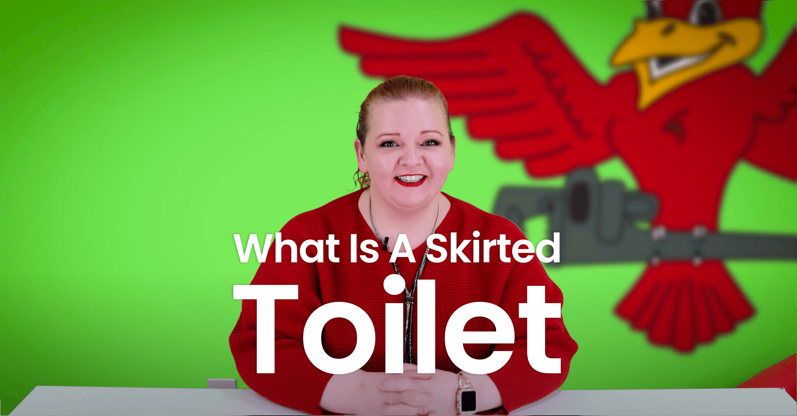 The thumbnail for Robins Plumbing blog titled "what is a skirted toilet" written by the owner of Robins Plumbing Stephanie Robins.